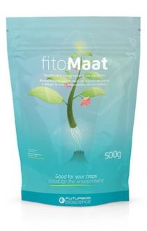 Fitomaat